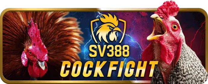 Chơi Slot trên di động